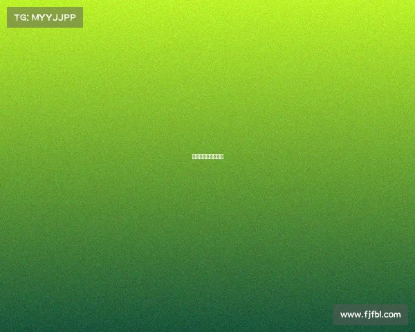 有含金量的金融比赛