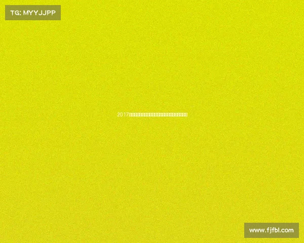 2017河南武术锦标赛盛大举行高手云集展现中华武艺风采